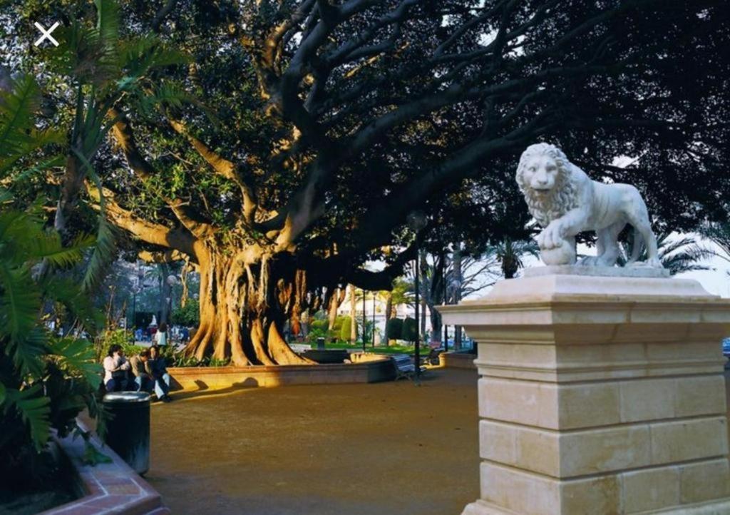 The Terrace Canalejas Аликанте Экстерьер фото